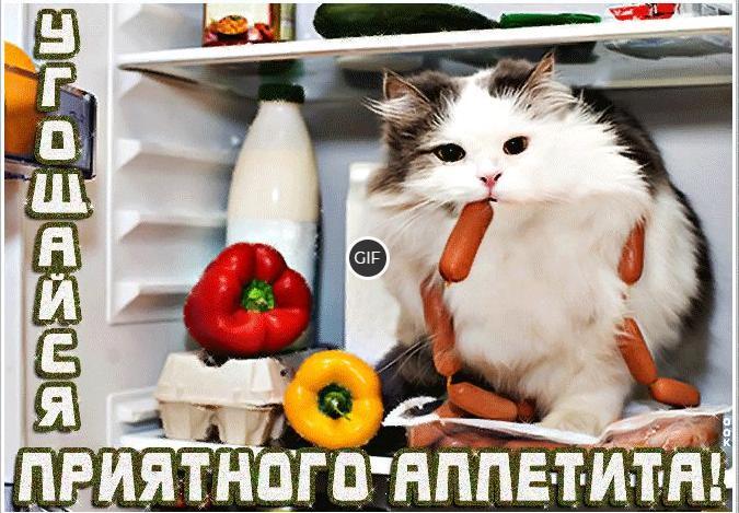 Приятного аппетита картинки прикольные для девушки