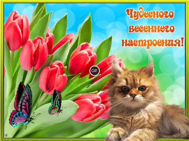 Открытки с весенним настроением и весенним днём