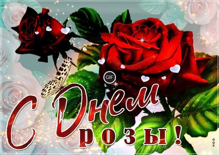 Гифки с днём розы