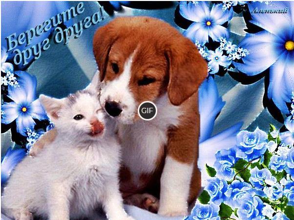 Гифка берегите друг друга