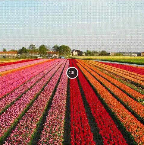 Картинки природы