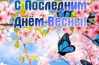 Гифки с последним днём Весны (45 gif картинок)