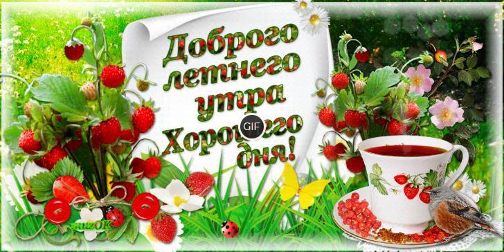 Гифки доброе летнее утро