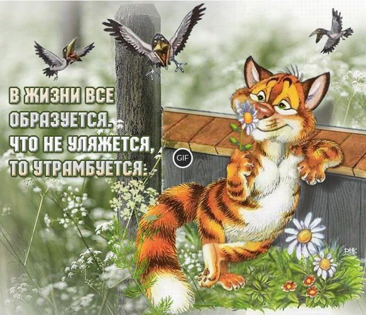 Гифка в жизни всё образуется. Что не уляжется, то утрамбуется