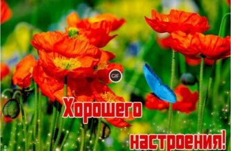 Красивая гиф картинка хорошего настроения