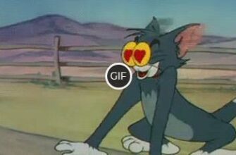 Гифка безумно влюблённый кот