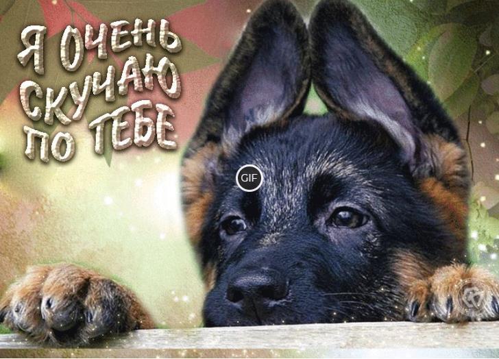 Анимированная картинка Я очень скучаю по тебе