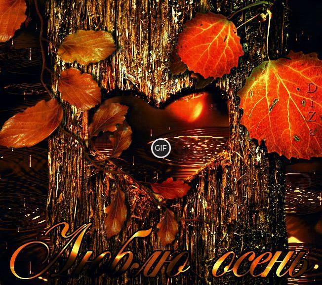 Красивые анимации осень