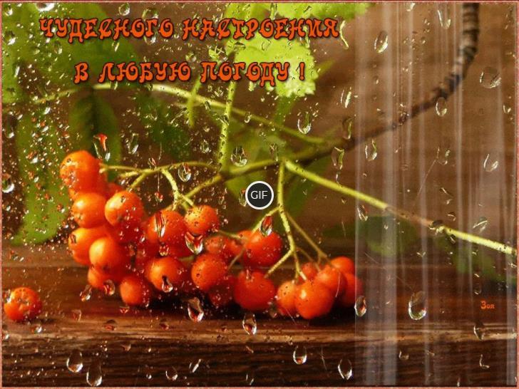 Летнее дождливое утро гифки