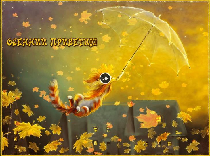 Гифки осенний привет
