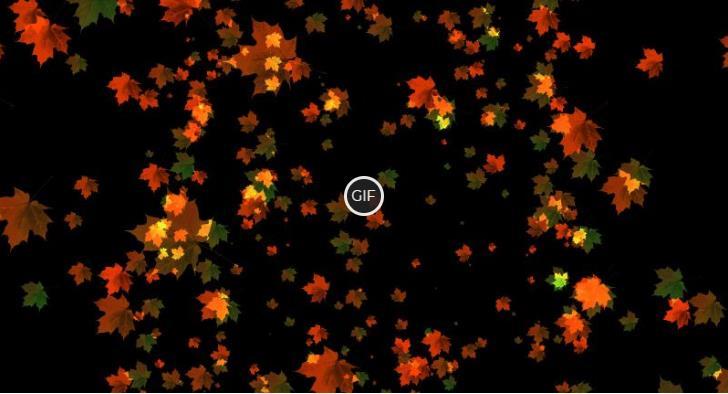 Гифки осень падают листья