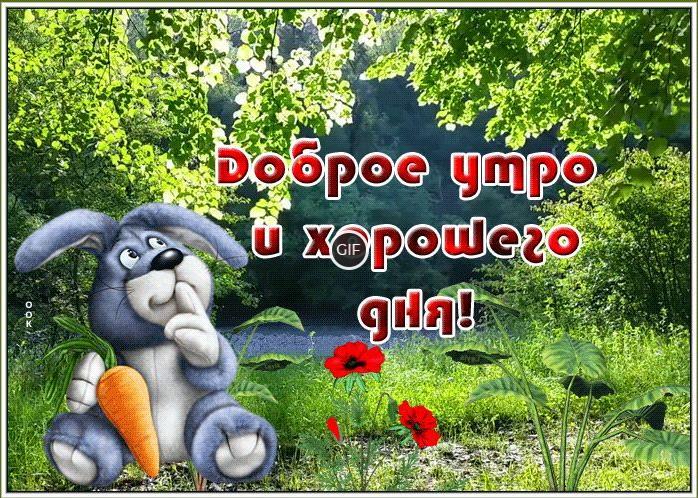 Открытки с добрым утром анимированные прикольные