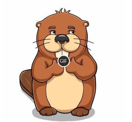 Анимированные изображения бобров