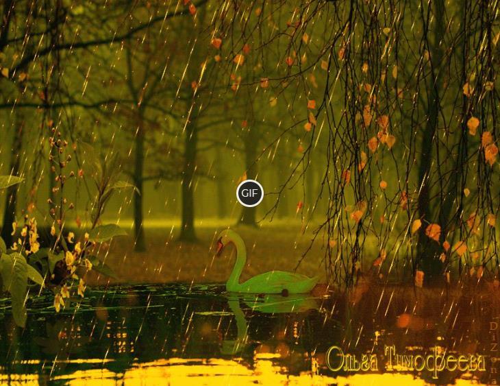 Анимация гифки осенние дожди