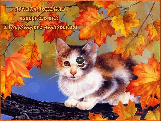 Открытки с пожеланиями осеннего настроения