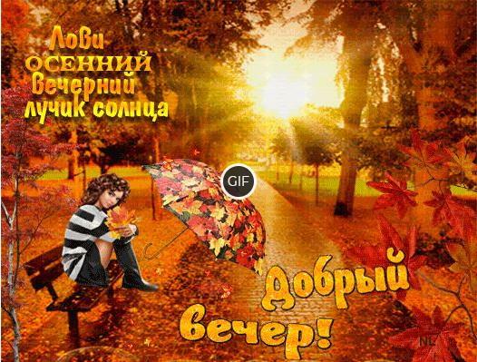 Гиф картинка лови осенний вечерний лучик солнца, добрый вечер!