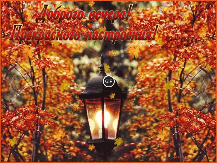 Анимация гифки осенняя природа вечером