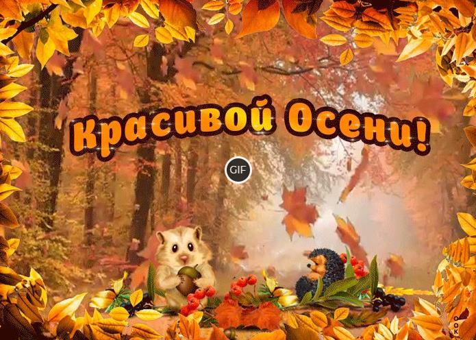 Осенние картинки красивые позитивные