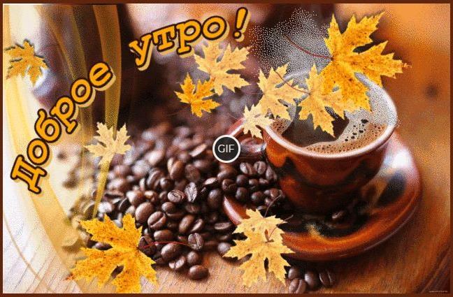 С добрым осенним утром