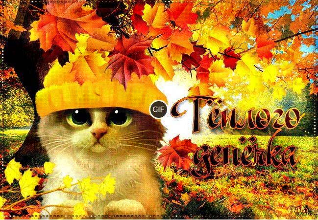 Добрый осенний день