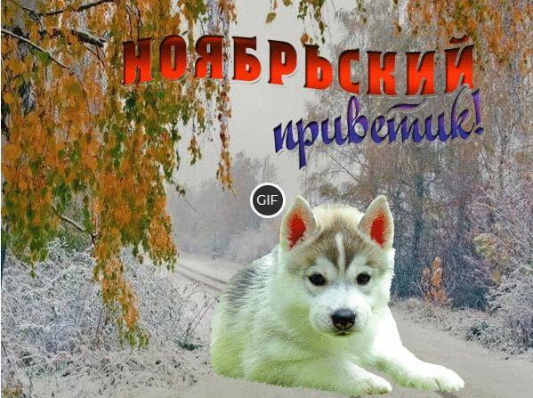 Красивые Ноябрьские анимированные картинки