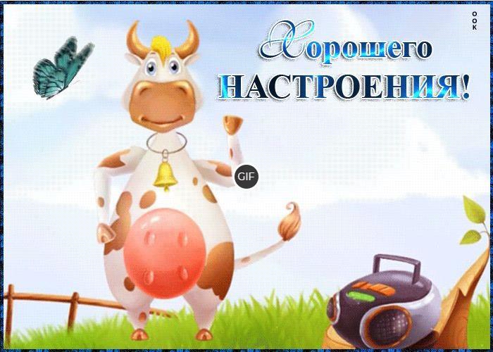 Гиф хорошего настроения