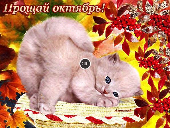 Гиф прощай октябрь