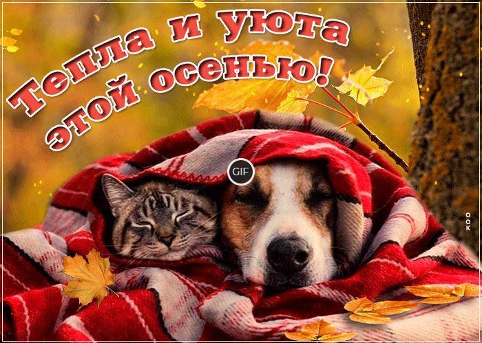 Анимированная картинка Тепла и уюта этой осенью
