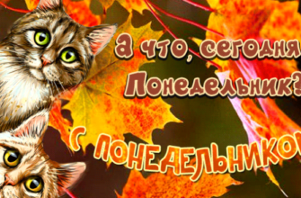 Гифки хорошего Осеннего Понедельника (30 gif картинок)