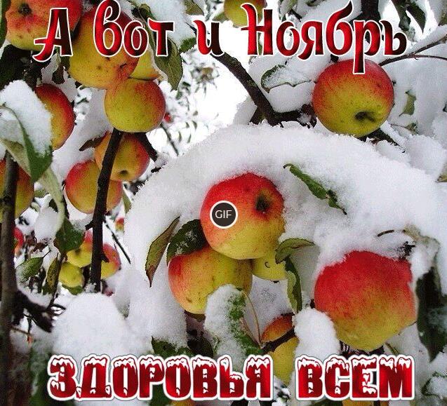 Гиф картинка а вот и Ноябрь здоровья всем