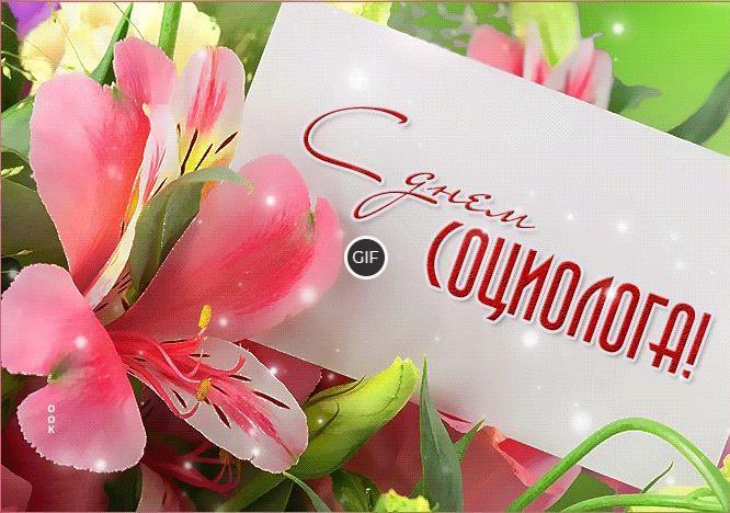 Гифки с днём социолога