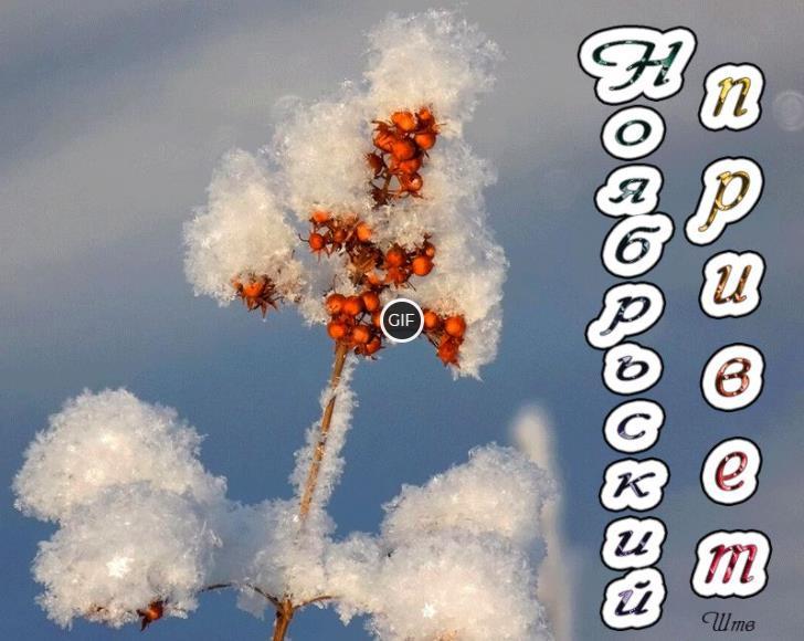 Гиф картинка Ноябрьский привет