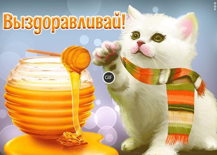 Картинки не болей выздоравливай скорей