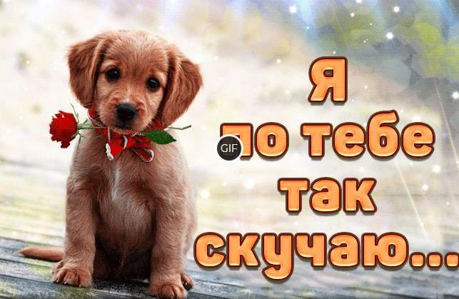 Гифки я очень сильно скучаю по тебе