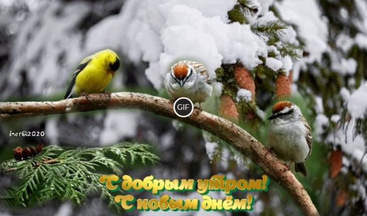 Открытка с добрым утром ноябрь с новым днём