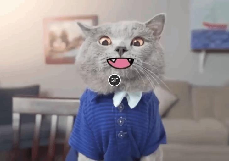 Смешные гифки приколы с кошками и котами
