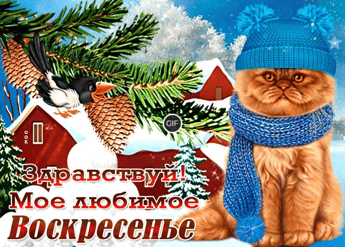 С добрым зимним воскресным утром картинки красивые