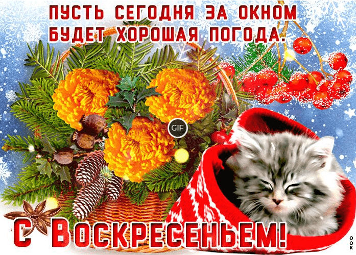 Весёлого зимнего воскресенья гиф