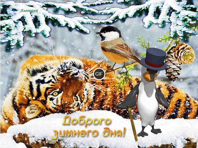 Гиф картинка с пожеланием доброго зимнего дня