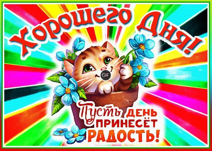 Красивые анимационные картинки с пожеланием доброго дня