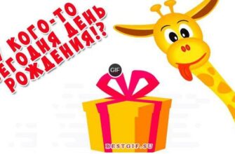 Прикольные поздравления с днём рождения