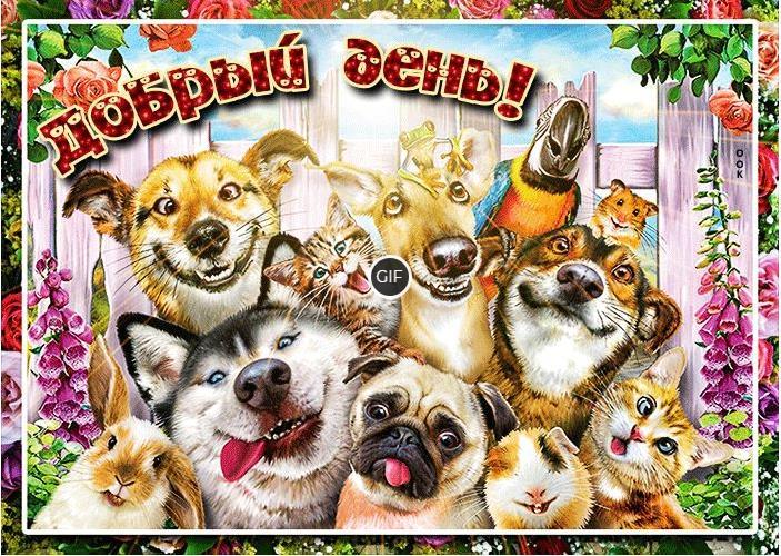 Красивые бесплатные картинки доброго дня