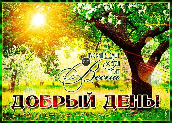 Открытки с пожеланием удачного дня. Добрый день друзья!