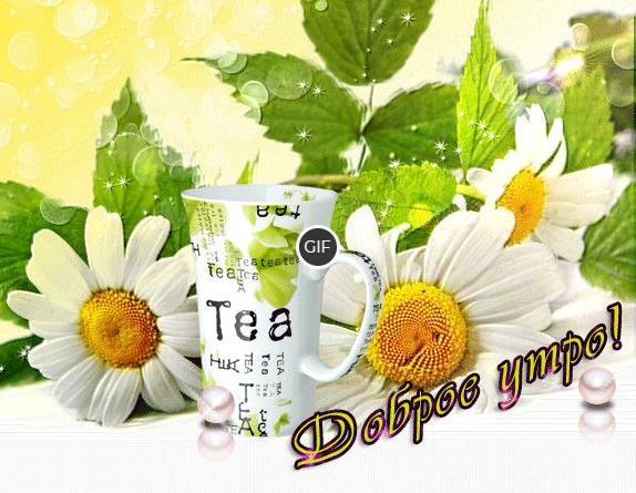 Пожелания доброго Июльского утра