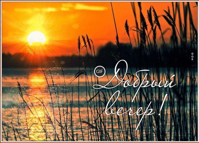 Пожелания доброго Июльского вечера