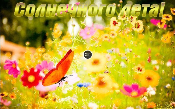 Солнечного летнего дня мерцающие картинки