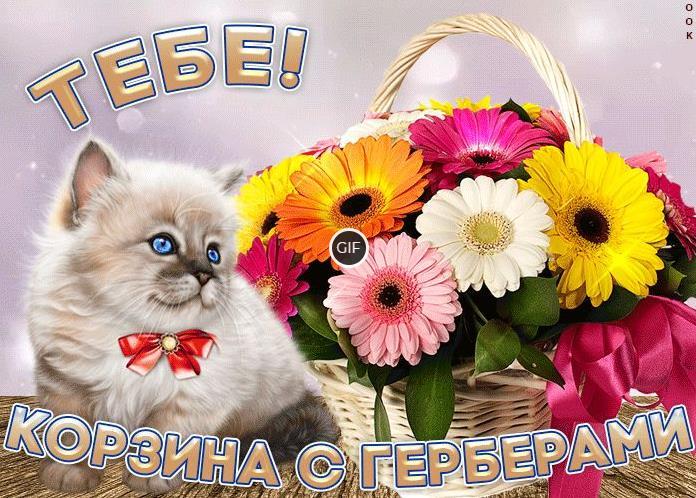 Открытки с цветами красивые букеты