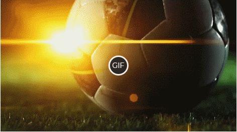 Топ-10 самых популярных видов спорта в мире