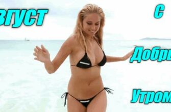 Гифки с добрым Августовским утром (15 gif картинок)