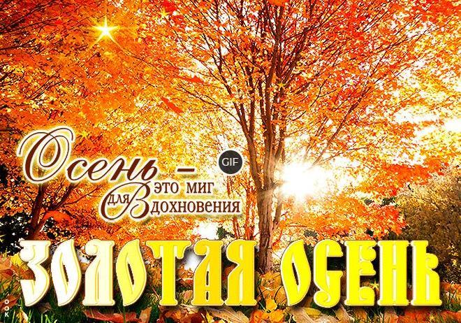 Красивые осенние гифки и анимации